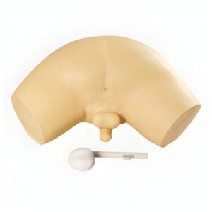 Prostate Examination Simulator