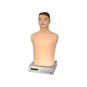 Auscultation Manikins