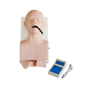 Human Trachea Intubation Model