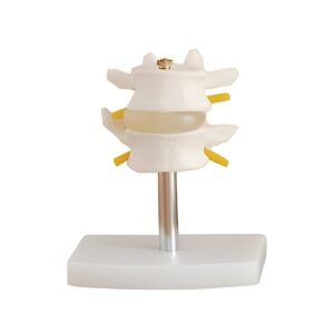 Lumbar Set(2 pcs)