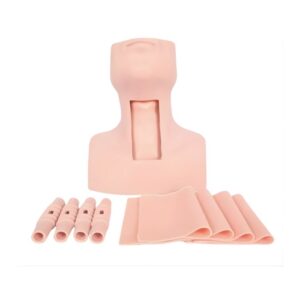 Tracheostomy Simulator