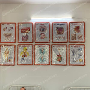 gallery image 8