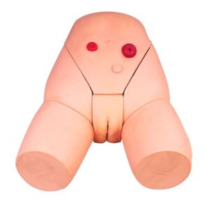 Catheterization Training Simulator(Female)