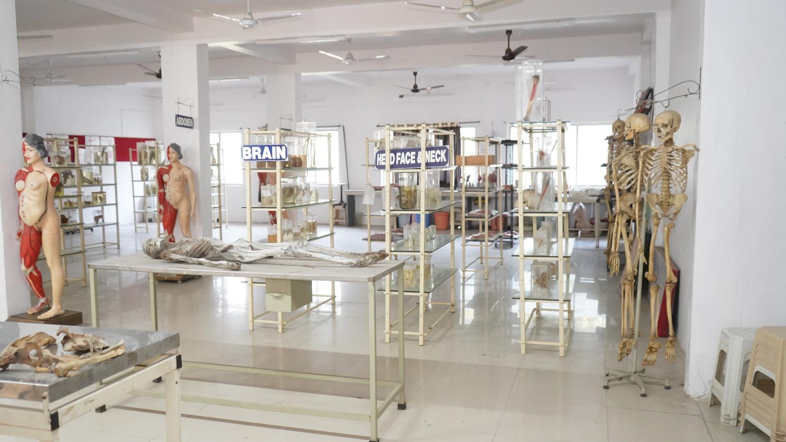Rachana Sharir Lab Setup